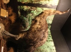 L'entreprise qui a ramen&eacute; &agrave; la vie le grand loup disparu se pr&eacute;pare maintenant &agrave; faire revivre l'oiseau g&eacute;ant de Nouvelle-Z&eacute;lande, le Moa