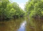 Un homme arr&ecirc;t&eacute; apr&egrave;s avoir v&eacute;cu dans une for&ecirc;t domaniale pendant 8 ans