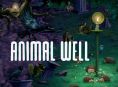 Nous allons faire un tour sur le site Animal Well dans l'émission GR Live d'aujourd'hui