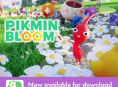 Pikmin Bloom est désormais disponible en France