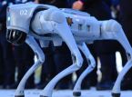 Des chiens robots garderont la coupe du monde 2026