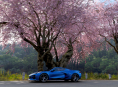 Forza Horizon 6 a atteint plus de 300 000 joueurs simultanés sur Steam au cours du week-end.