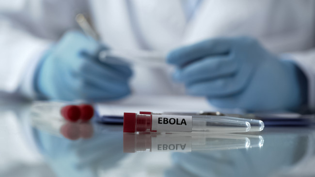 L'épidémie d'Ebola pourrait durer un an, selon les prévisions de la Croix-Rouge