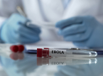 L'&eacute;pid&eacute;mie d'Ebola pourrait durer un an, selon les pr&eacute;visions de la Croix-Rouge
