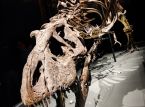 Un fossile de T-Rex devrait se vendre &agrave; plusieurs millions aux ench&egrave;res, mais les scientifiques ne sont pas contents