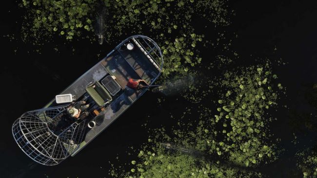 Grand Theft Auto VI