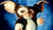 Steven Spielberg et Chris Columbus tiennent les r&ecirc;nes de la franchise Gremlins